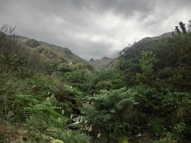 山側